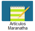 B8 artic.png