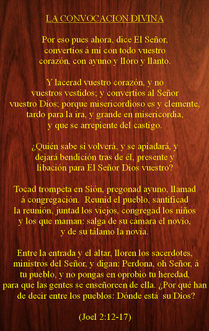 7Convocacion.PNG